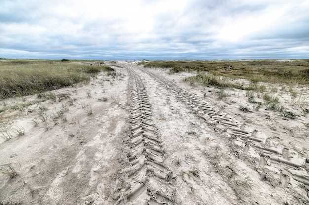 Best Off-Road Tires for Mud, Sand, and Rocks